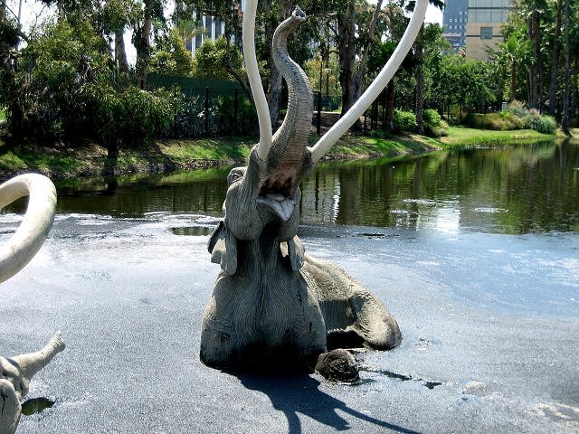 Mammal Mammoth Model La Brea Tar Pits, Los Angeles, California