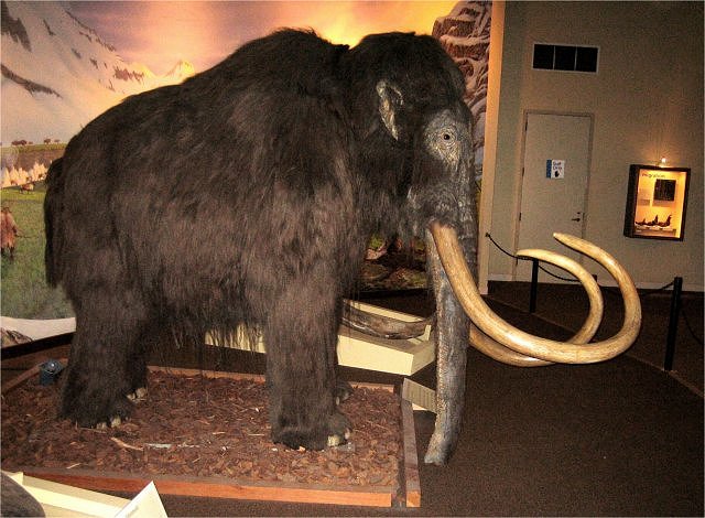 Mammal Mammoth Model La Brea Tar Pits, Los Angeles, California