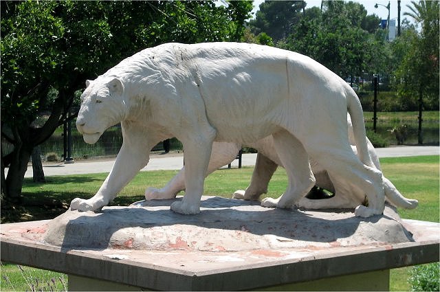 Mammal American Lion Model, La Brea Tar Pits, Los Angeles, California