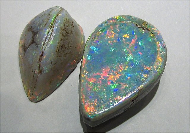 Pelecypod Australian Opalized Clam Shells, Andamooka, Australia, Opex Opal California