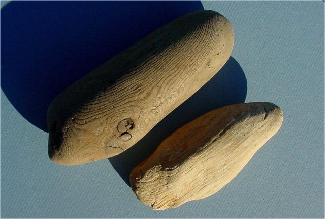 Plant Fossil Petrified Wood-Drift Wood, Oregon, The Darker Specimen Is A Recent Piece Of Driftwood Picked Up On The Pacific Shoreline In Oregon. The Lighter Colored Specimen Is A Piece Of Driftwood That Was Silicified After The Wood Had Been Reduced To Driftwood (Also From Oregon)