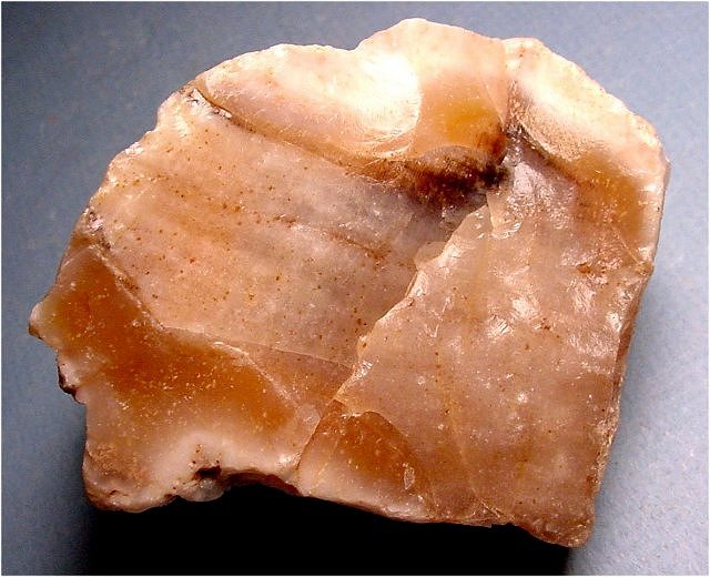 Plant Fossil Petrified Wood-Opalized