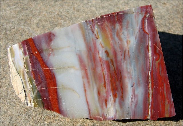 Plant Fossil Petrified Wood, Replaced By Jasper, Northern Arizona