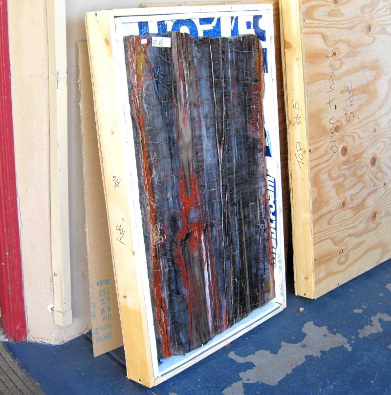 Plant Fossil Petrified Wood, Slab At Tucson Gem And Mineral Show