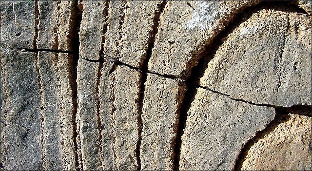 stromatolite fossil stromatolite, Lower Escabrosa Limestone, Mississippian, north wall of Dry Canyon, Whetstone Mountains of southeastern Arizona